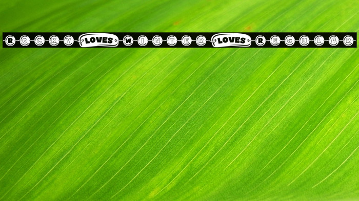 Rocky Winter Regular Example 1