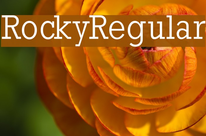 RockyRegular Font examples