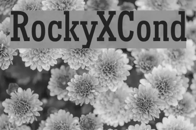 RockyXCond Font examples