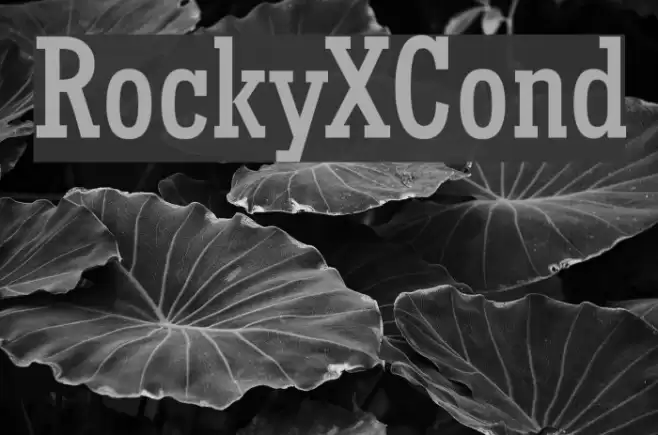 RockyXCond Font examples