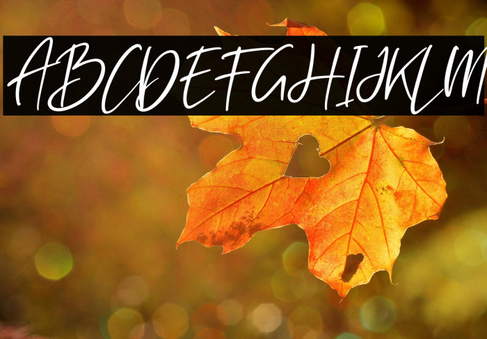 Rockybrown Italic Example 1