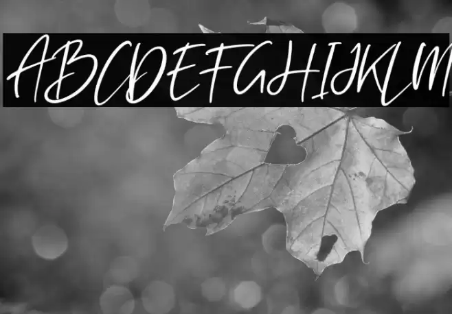 Rockybrown Italic Font examples