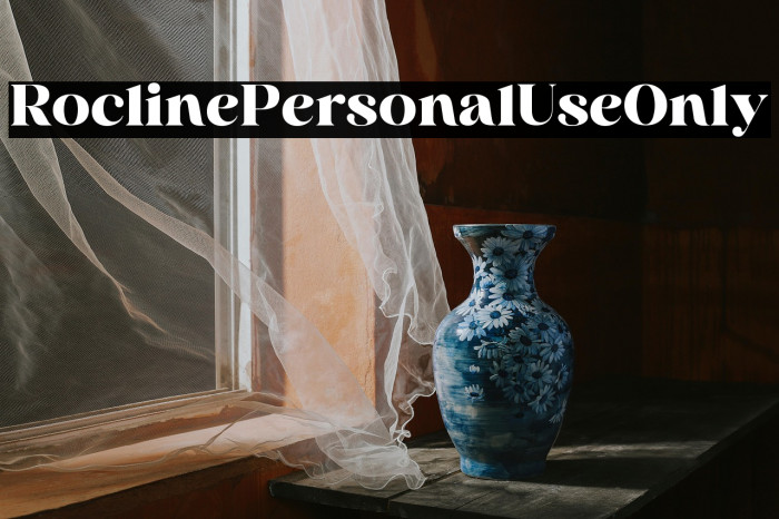 Rocline Personal Use Only Example 2