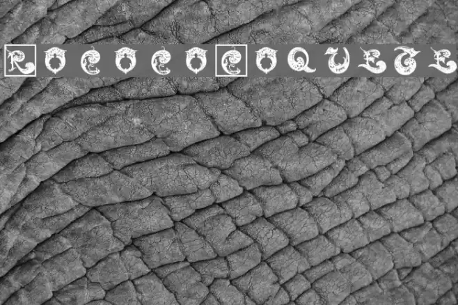 RococoCoquete Font examples