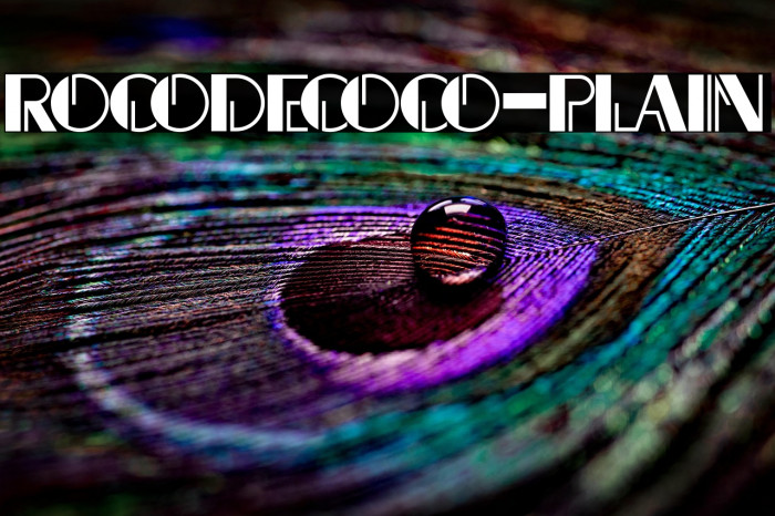 Rocodecoco-Plain Example 2