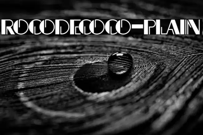Rocodecoco-Plain Font examples