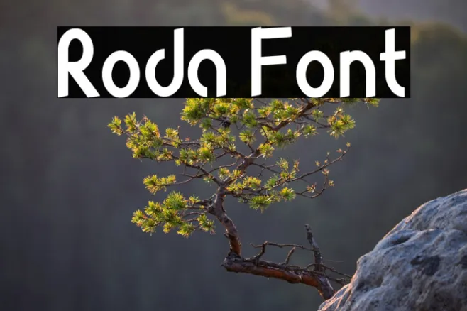 Roda Example 2