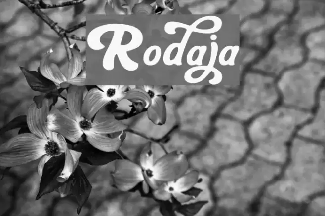 Rodaja Font examples