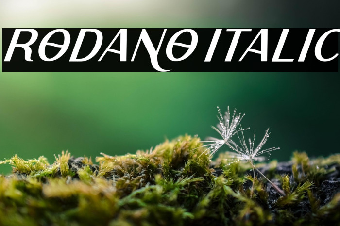 Rodano Italic Example 1