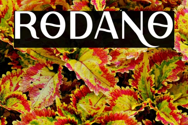 Rodano Example 1
