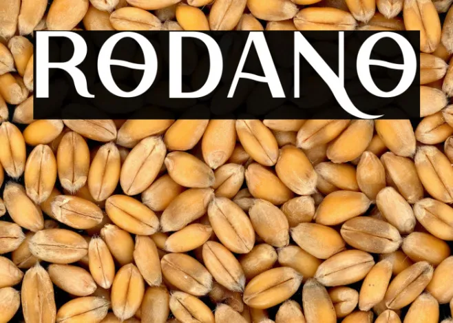 Rodano Example 2