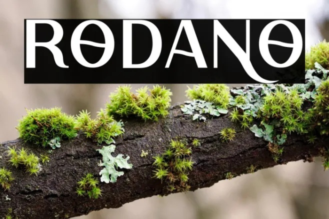 Rodano Example 3