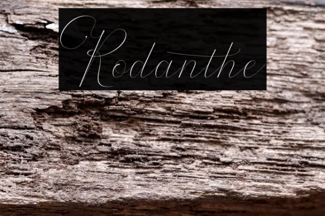 Rodanthe Example 1