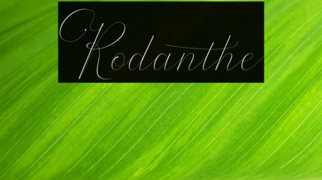 Rodanthe Example 2