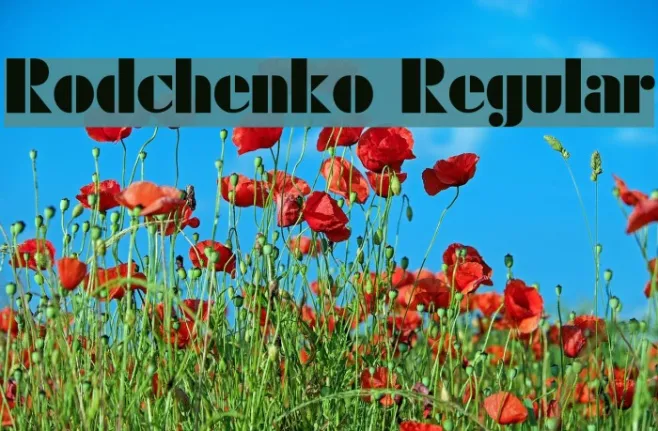 Rodchenko Regular Example 1
