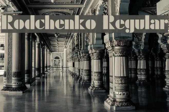 Rodchenko Regular Example 3