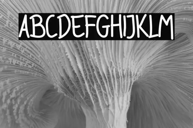 Rodda Kidas Font examples