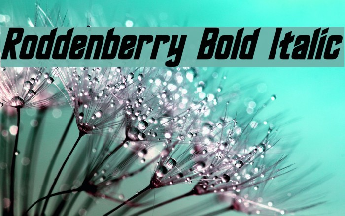 Roddenberry Bold Italic Font examples