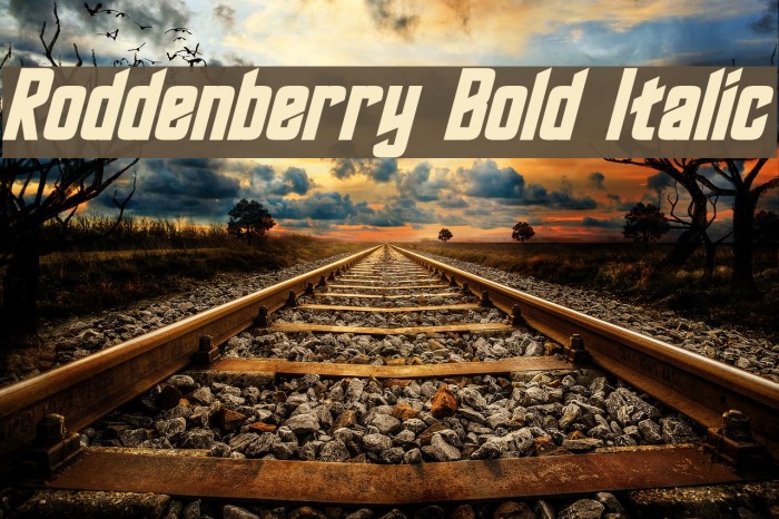 Roddenberry Bold Italic Font examples