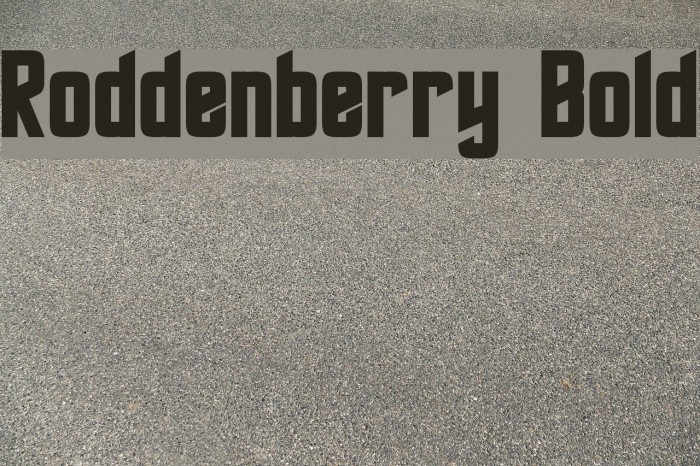 Roddenberry Bold Font examples