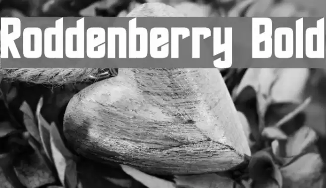 Roddenberry Bold Font examples