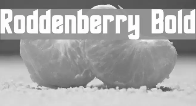 Roddenberry Bold Font examples