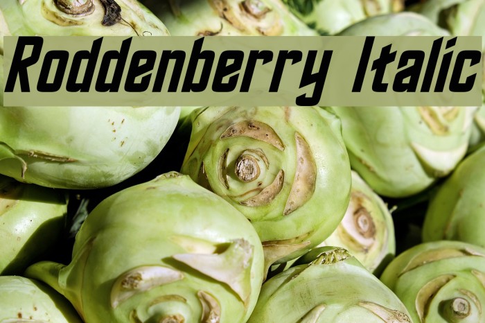 Roddenberry Italic Font examples