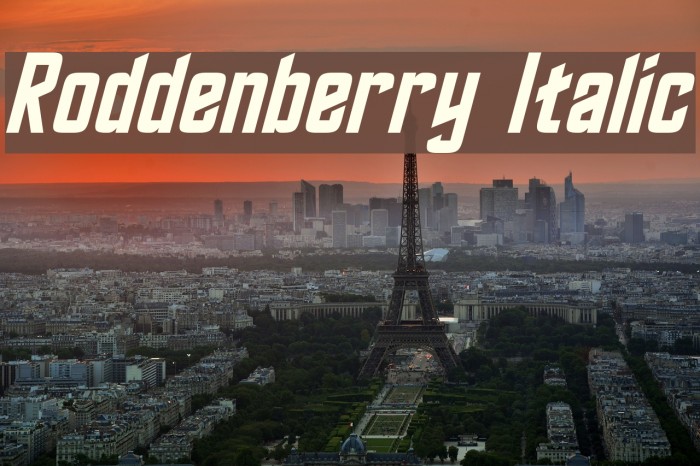 Roddenberry Italic Font examples