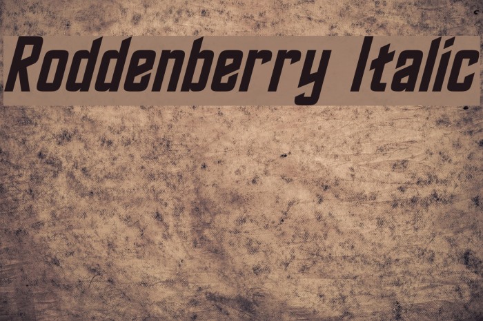 Roddenberry Italic Font examples