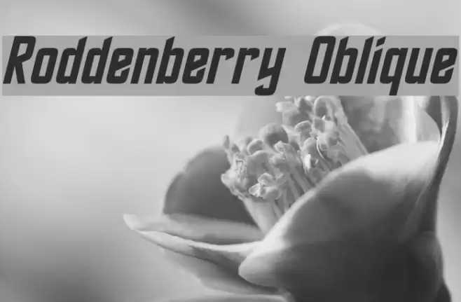 Roddenberry Oblique Font examples