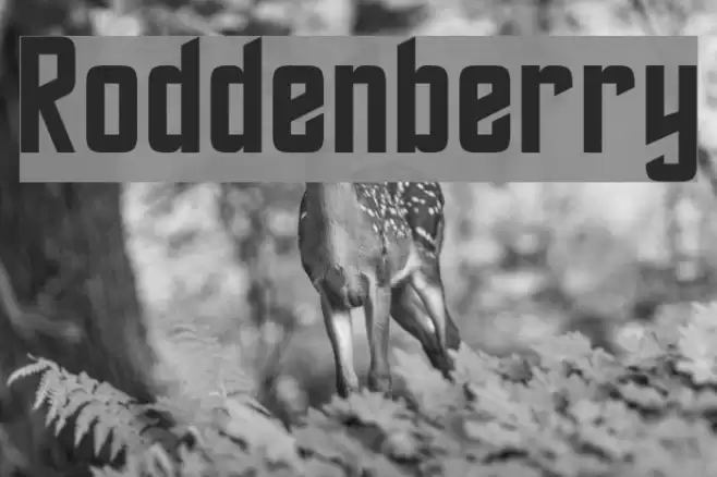 Roddenberry Font examples