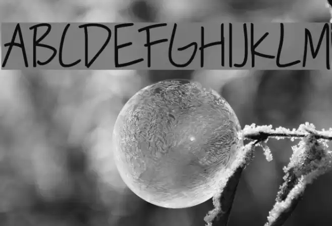 Roddy Bold Font examples