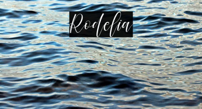 Rodelia Example 2