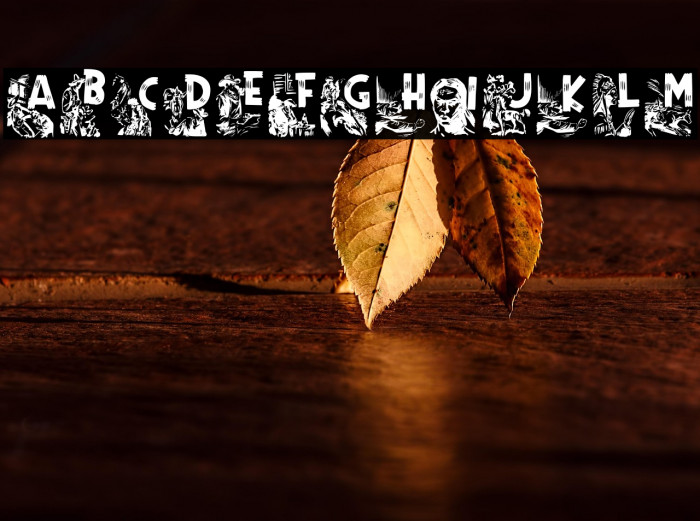 RodeoCIESCAPSII-Regular Example 1