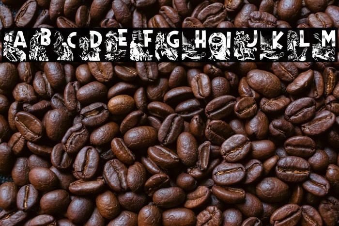 RodeoCIESCAPSII-Regular Example 2