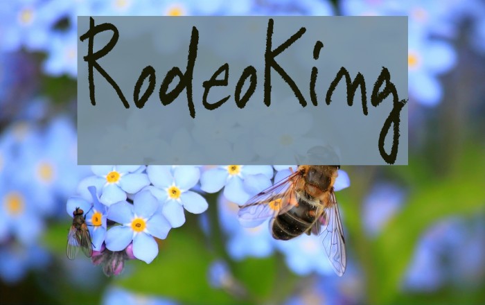 RodeoKing Font examples
