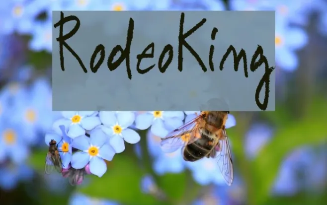 RodeoKing Example 3