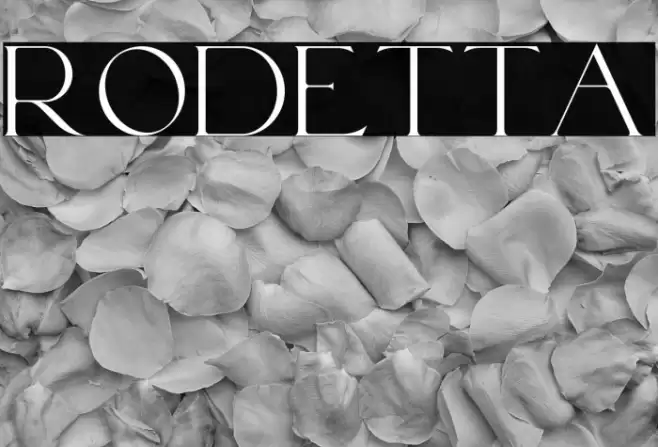 Rodetta Font examples