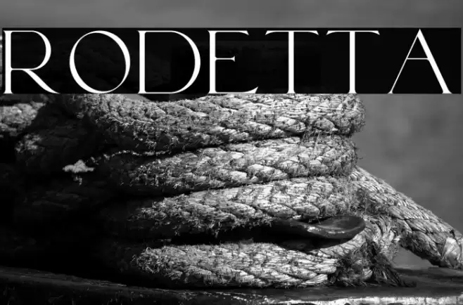 Rodetta Font examples