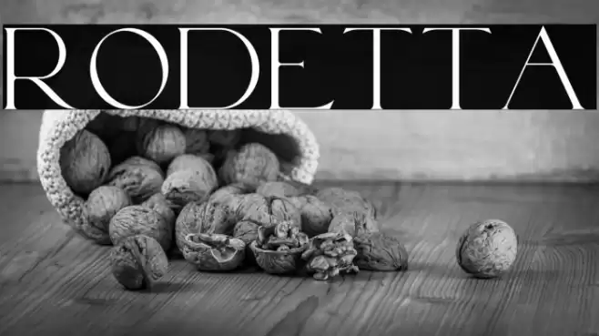 Rodetta Font examples