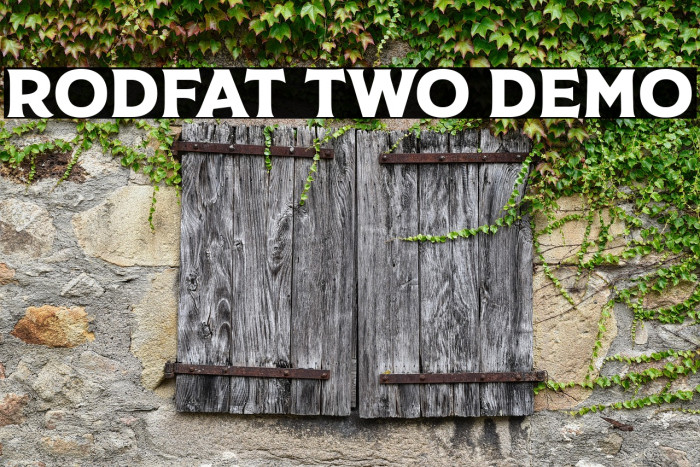 Rodfat Two Demo Example 1