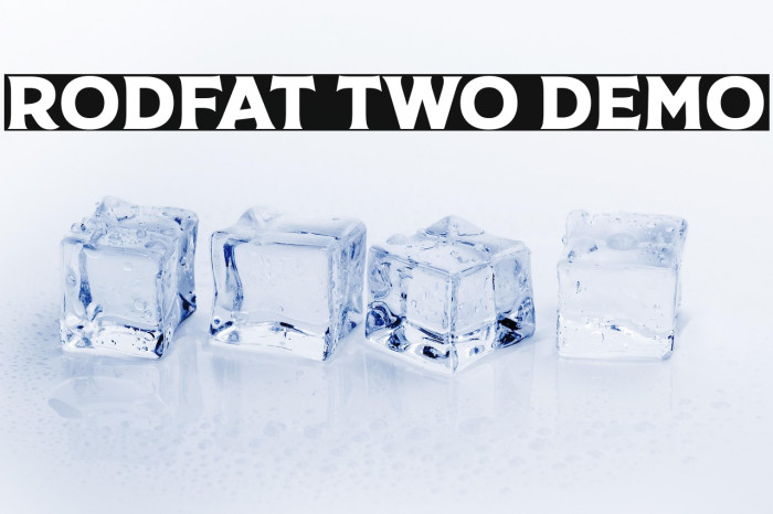 Rodfat Two Demo Example 2