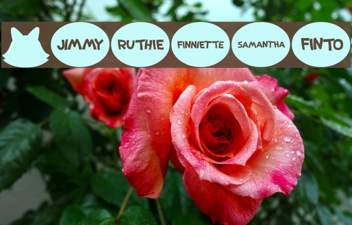 Rodfellowbats Font examples