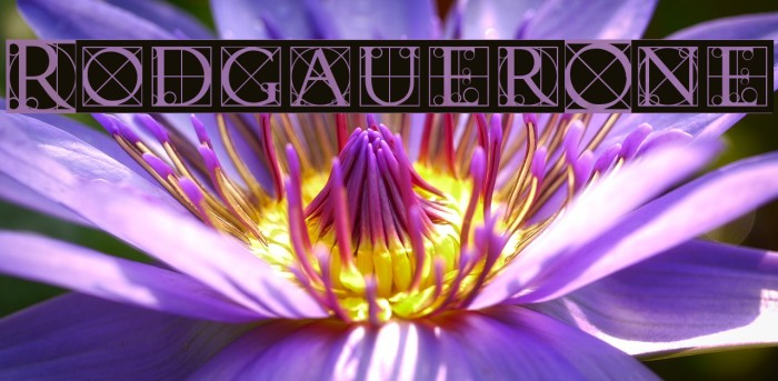 RodgauerOne Font examples