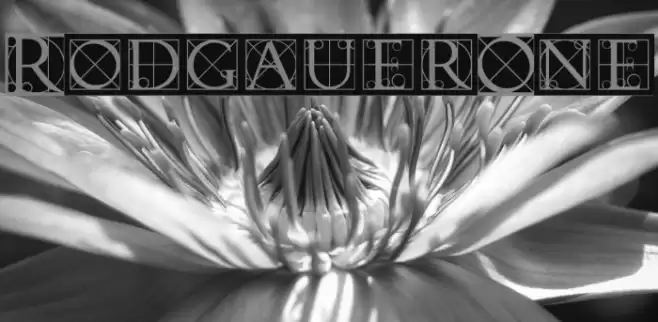 RodgauerOne Шрифта examples