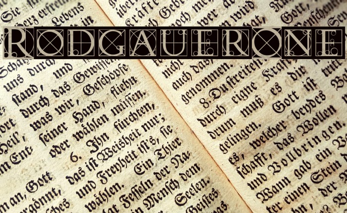 RodgauerOne Font examples
