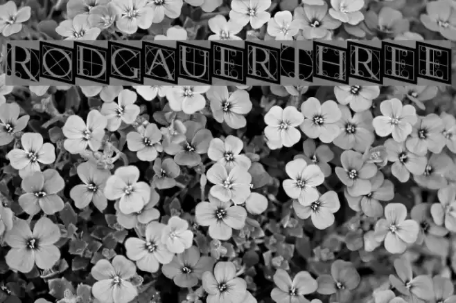 RodgauerThree Fuentes examples