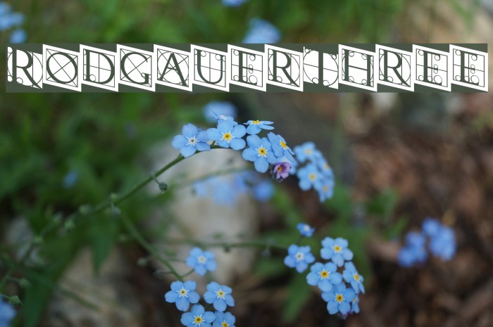 RodgauerThree Font examples