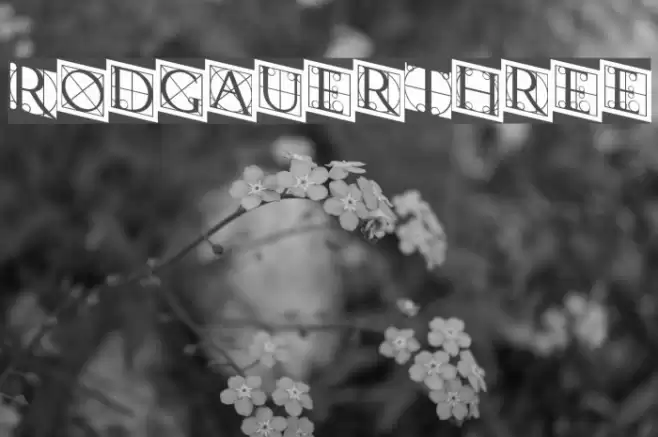 RodgauerThree Fuentes examples