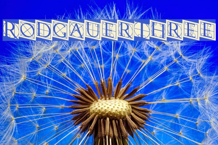 RodgauerThree Font examples